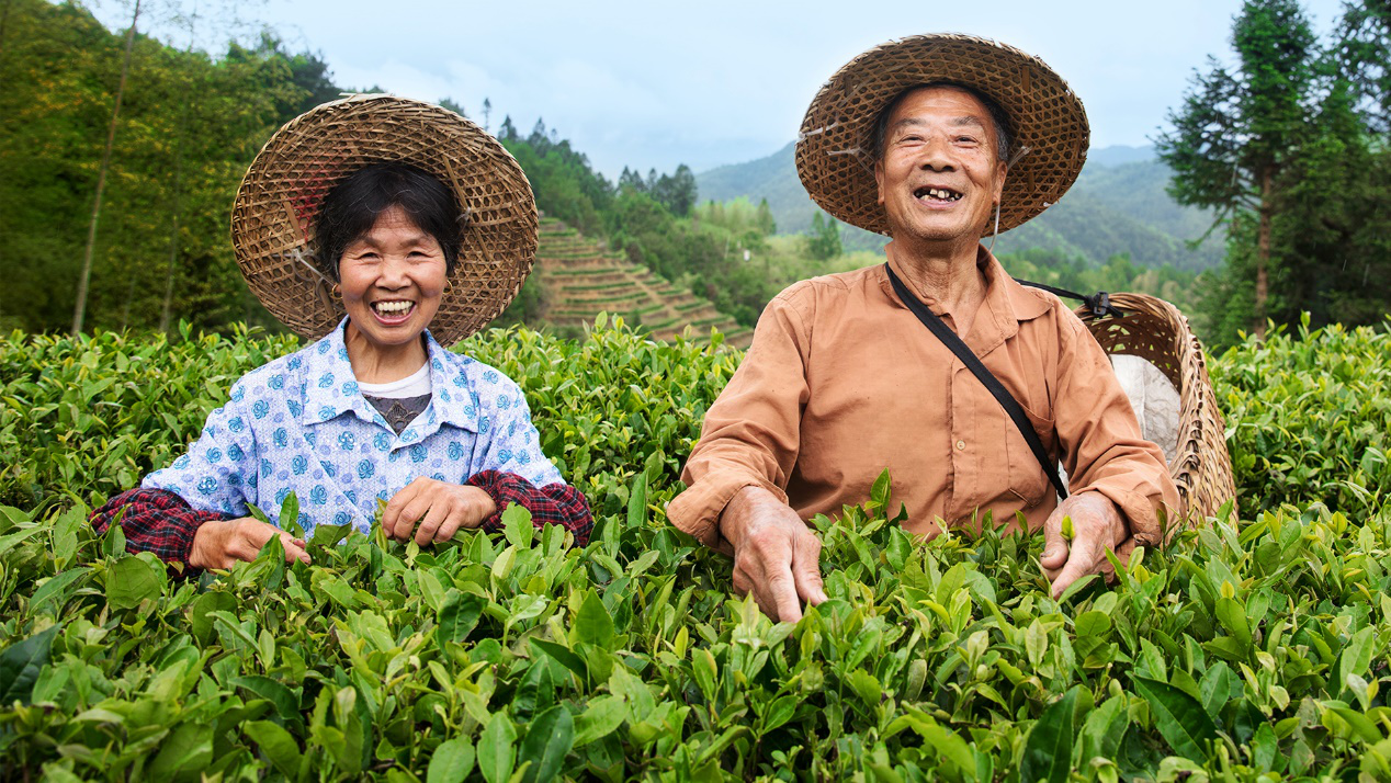 “振興中國好茶公益助農行動”正式發起，小罐茶以茶助農打贏脫貧攻堅戰